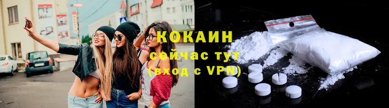 Cocaine Fish Scale  купить наркотик  мега зеркало  Ивангород 